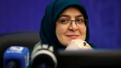 سخنگوی دولت: مجوز خرید دو فروند هواپیمای ایرباس تصویب شد