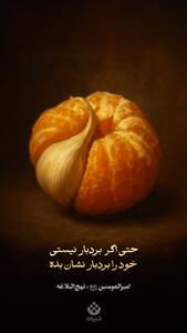  طرح/ خودت را بردبار نشان بده