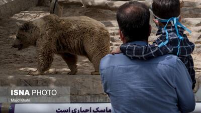 بازدید از باغ وحش ارم ۱۳ آبان رایگان است