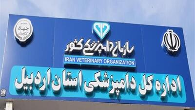  هشدار دامپزشکی اردبیل به دامداران درباره خطر شیوع تب برفکی