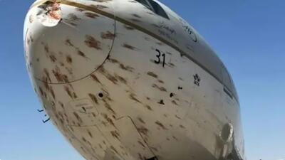  تصادف هواپیمای عربستانی با دسته‌ای بزرگ از پرندگان