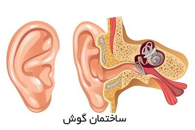  وزوز گوش: شنیدن صدای زنگ یا وزوز بدون منبع خارجی؛ علت چیست؟