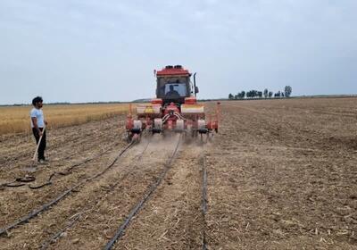  چشم امید کشاورزان به «طرح جهش تولید» در پاییز خشک کهگیلویه و بویراحمد