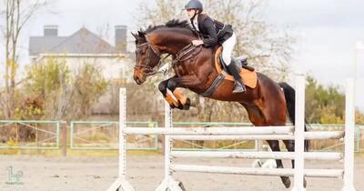  رقابت های سوارکاری قهرمانی پرش استان قزوین بمدت دوروز در قزوین برگزار می شود