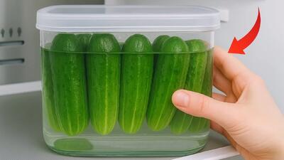  راز نگهداری خیار تا چند هفته بدون خراب شدن!