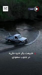  ببینید؛ طبیعت بکر «دره حلی» در جنوب عربستان
