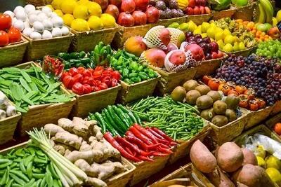 تولید محصولات ارگانیک در جهان و جایگاه  ایران