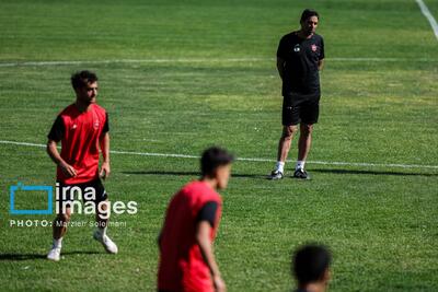 پایان همکاری باشگاه پرسپولیس با وحید هاشمیان