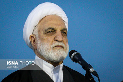  اژه‌ای: قوه قضاییه آماده پشتیبانی‌های حقوقی و قضایی از جامعه پرستاری کشور است