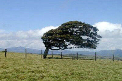  پیش بینی وزش باد در اردبیل