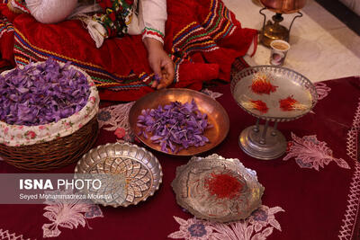  زعفران ایرانی میراثی جهانی است که باید به برند مشترک فرهنگ و هویت ایران تبدیل شود