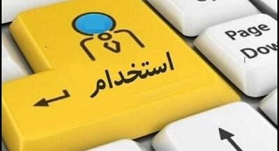  فریب استخدام‌های دولتی در دیوار و شیپور را نخورید | جهان نیوز