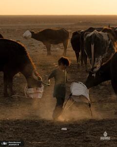  حمله خشکسالی شدید به عراق + عکس ها