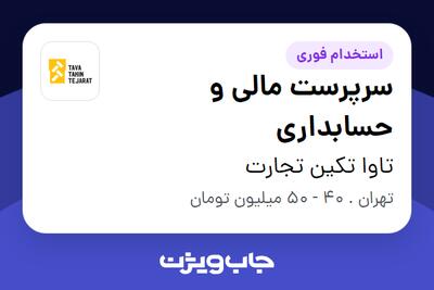  استخدام سرپرست مالی و حسابداری در تاوا تکین تجارت