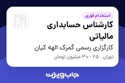  استخدام کارشناس حسابداری مالیاتی - خانم در کارگزاری رسمی گمرک الهه کیان