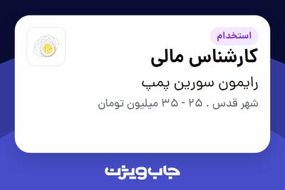  استخدام کارشناس مالی در رایمون سورین پمپ