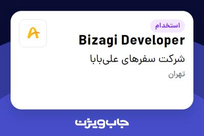  استخدام Bizagi Developer در شرکت سفرهای علی‌بابا