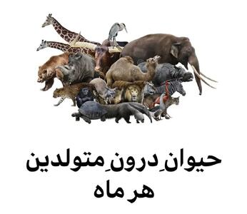 حیوان درون متولدین هر ماه؛ هر ماه چه قدرتی دارند؟ | هر ماه تولد، یک اسطوره‌ با نیرویی آسمانی در روح تو