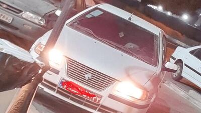  تشکیل پرونده قضایی برای عامل سگ گردانی با اتومبیل دولتی در بندرعباس