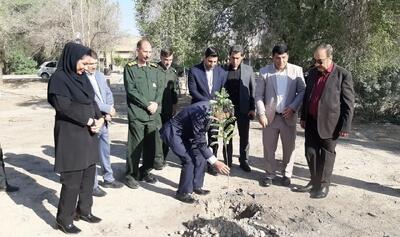  نهال سلامت در بیمارستان شهدای دهلران به مناسبت روز پرستار کاشت شد