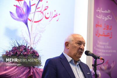  توکلی زاده:تمامی مراحل زنجیره ارزش زعفران تحت نظارت قرار گیرد