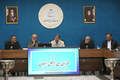  جمالی‌نژاد: تفاهم‌نامه‌های بین‌المللی باید از متن به عمل تبدیل شوند