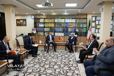 قدردانی ولایتی از مواضع اصولی چین در قبال ایران به‌ویژه در موضوع «مکانیسم ماشه»/ سفیر چین: از اهتمام مقام معظم رهبری نسبت به گسترش همکاری‌های دوجانبه تشکر می‌کنیم