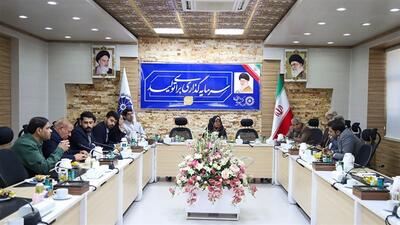 نظارت حاکمیتی در مرز چذابه هزینه‌های غیرضروری صادرکنندگان  را کاهش می دهد