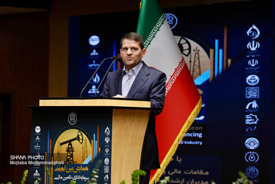 تنها ۱۵ درصد سرمایه‌گذاری پتروشیمی از بخش خصوصی واقعی بوده است