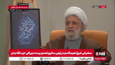  شیخ نعیم قاسم: سطح هماهنگی بین من و نبیه بری در بالاترین حد خود است