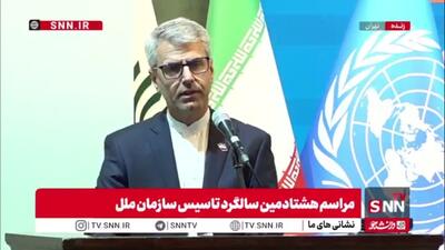  بقایی: آمریکا و متحدین آن، بزرگترین ناقضان اصول و اهداف منشور ملل متحد هستند