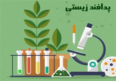  عملیات پاکسازی برای مقابله با پشه آئدس در قشم - تسنیم