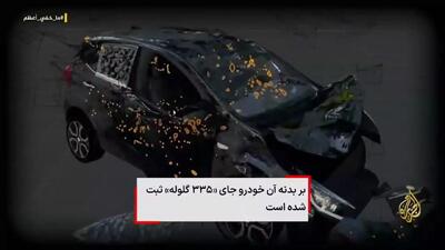 مستنداتی درباره چند خون‌آشام/فیلم
