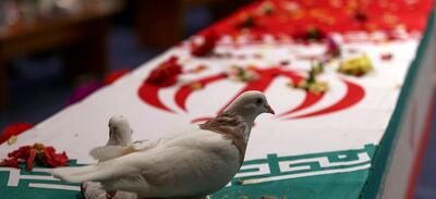 شهادت یکی از ماموران انتظامی در درگیری با  اراذل و اوباش مسلح در لاهیجان