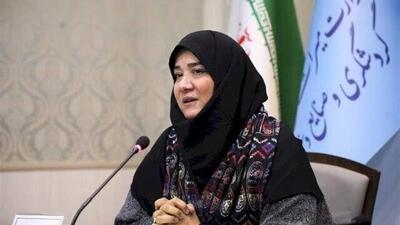 جشنواره همام نشان می‌دهد نواقص جسمی، مانعی برای تجلی خلاقیت در هنر ایرانی نیست