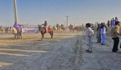 نخستین همایش سوارکاری در شهرستان هیرمند؛ گامی برای احیای فرهنگ منطقه سیستان