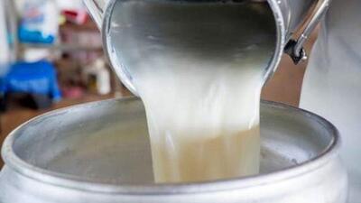  شیرخام ۳۰ درصد گران شد