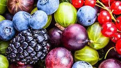  کوئرسیتین چیست و چرا لازم است بخوریم؟ / منابع غذایی سرشار از کوئرسیتین