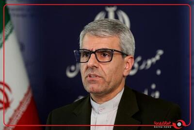  بقائی: تلاش می‌کنیم حکم خانم اسفندیاری به حکم قطعی آزادی منتهی گردد