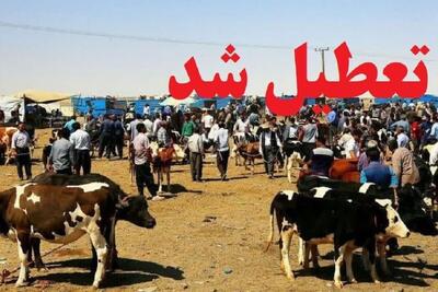  تعطیلی یک ماهه میادین دواب آذربایجان غربی