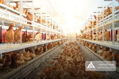 دلیل تغییر سود «سیمرغ» اعلام شد