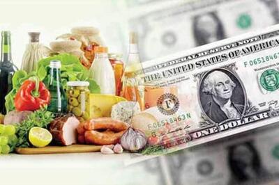 هشدار یک مقام بانک مرکزی: حذف ارز ترجیحی سفره مردم را به‌شدت کوچک می‌کند