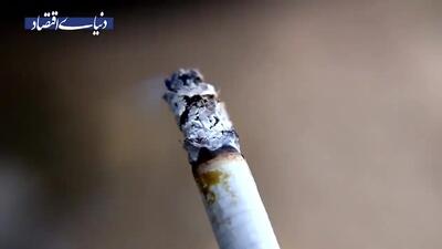 راز سودآوری پنهان صنعت سیگار