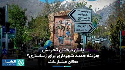 پایان درختان تجریش؛ هزینه جدید شهرداری برای زیباسازی؟