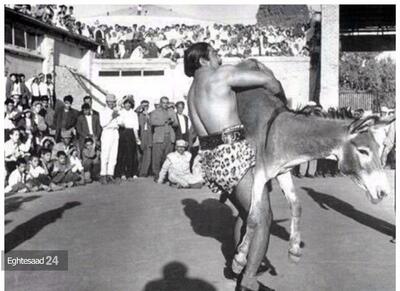  عکس/ معرکه گیری با خر ۵۹ سال پیش در خیابان‌های تهران | اقتصاد24