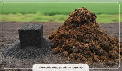  ترکیب هیومیک اسید با کود حیوانی خوب است؟