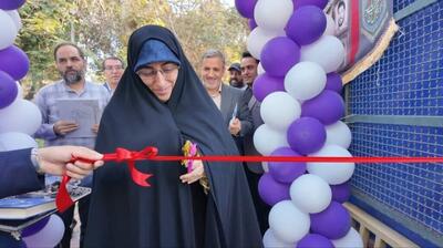 ساخت زمین‌های چمن مصنوعی ویژه بانوان در مناطق تهران ضرورت دارد