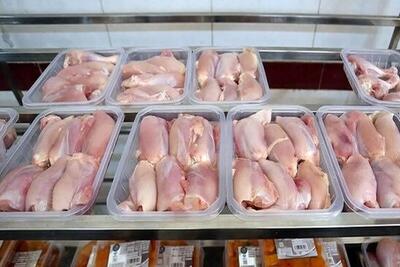 قالیباف: با ارز دولتی وارد می‌کنیم، اما مرغ با قیمت آزاد فروخته می‌شود - ایران ویو 24