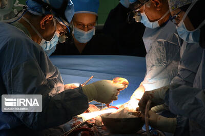  نوجوان ۱۸ ساله مرگ مغزی در گیلان جان چهار نفر را نجات داد