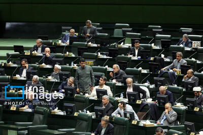  نماینده نور: وزیر جهاد کشاورزی نسبت به نهاده‌های دامی حساس باشد